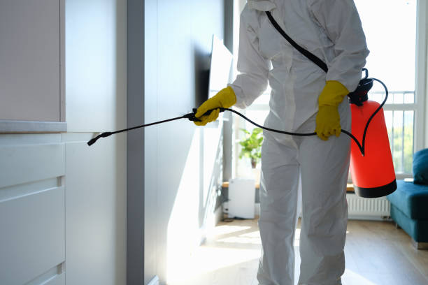 Best Emergency Mold Removal  in Cherokee Village, AR